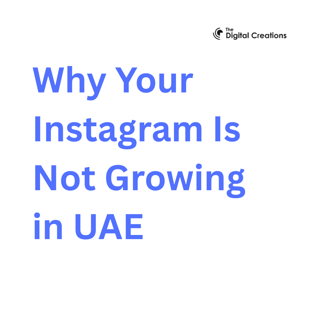 Why Your Instagram Is Not Growing in UAE